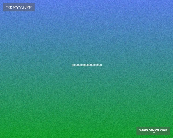 网球赛场背后的不为人知的故事与辛勤付出揭秘