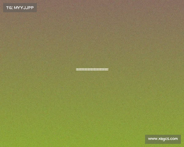 网球赛场背后的不为人知的故事与辛勤付出揭秘