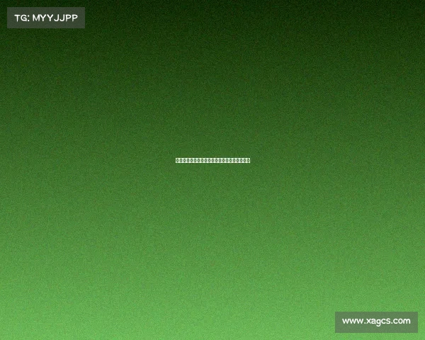 网球赛场背后的不为人知的故事与辛勤付出揭秘